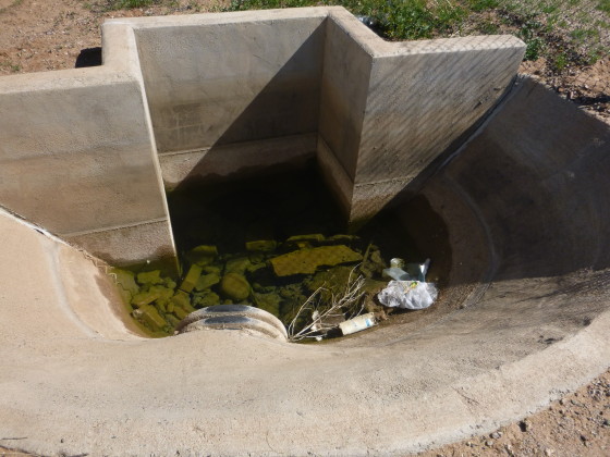 Looking down toward a concrete stormwater catchment structure with brown water pooling at the bottom. With angular concrete towards the back and a half dome slope in the front, the basin slows the drainage from an incoming metal pipe.