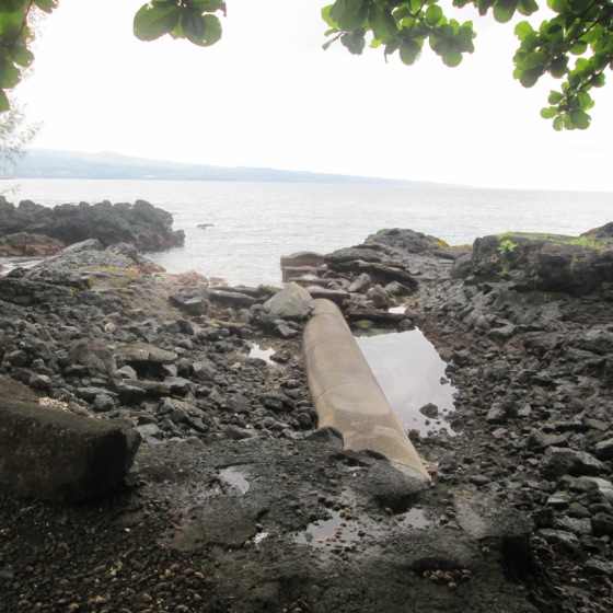 A grey concrete pipe exposed on the coast of a Hawaiian island. Some overhanging tree above looking out to the horizon on a misty day.