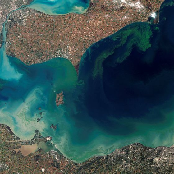 Satellite view of swirling blue green algae encompassing the area closest to the coast of a city in the open waters of a deep blue bay.