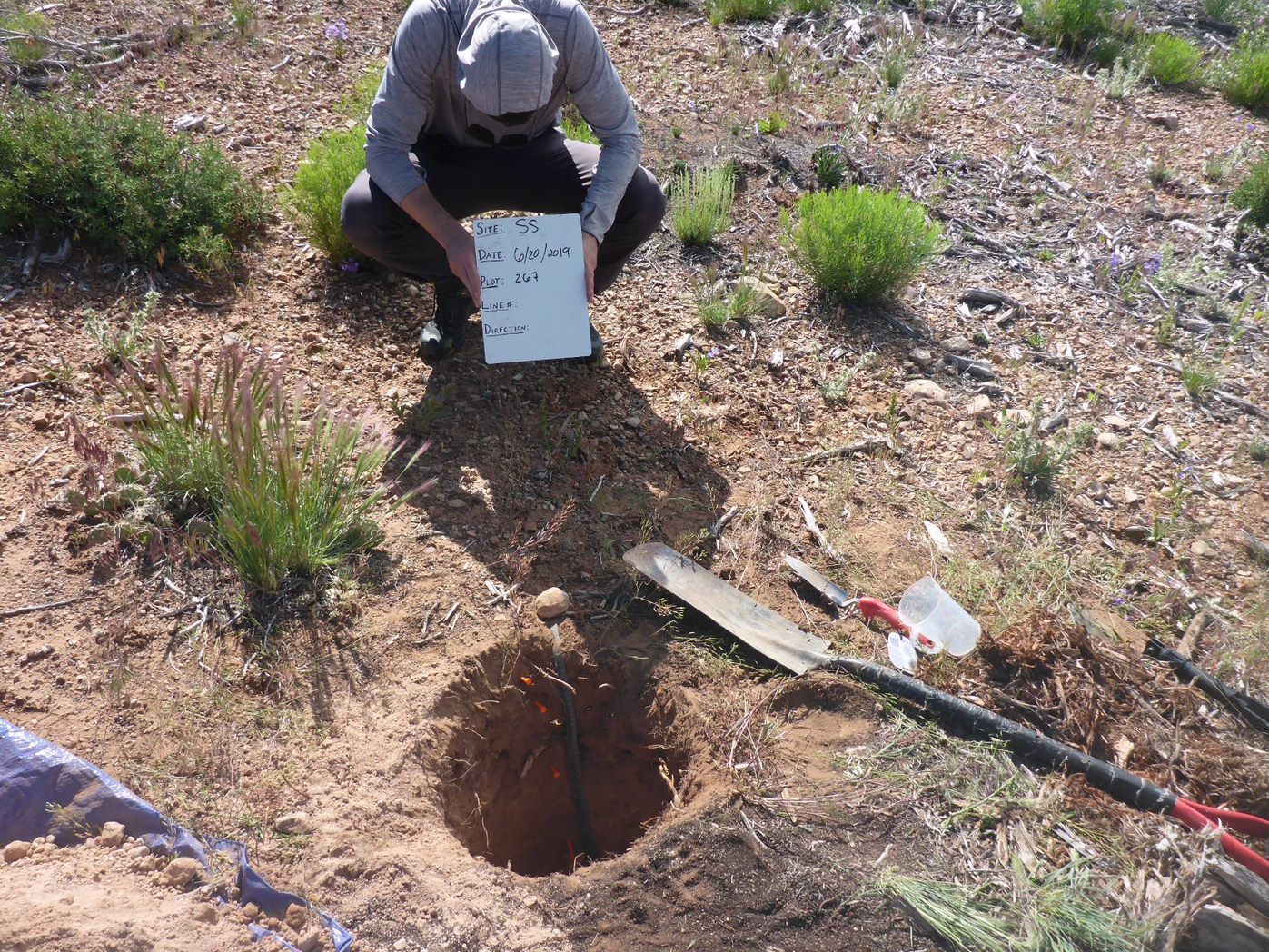 A person crouches next to a deep, round hole with the soil sample on a blue tarp to the left of the hole and a shovel and other tools to the right. The person holds an identifying sign.