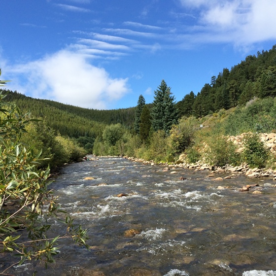 A shallow stream flows through a wooded rolling landscape with evergreens, with white froth where the water passes an over an exposed rock. There is a blue sky overhead with wispy clouds.