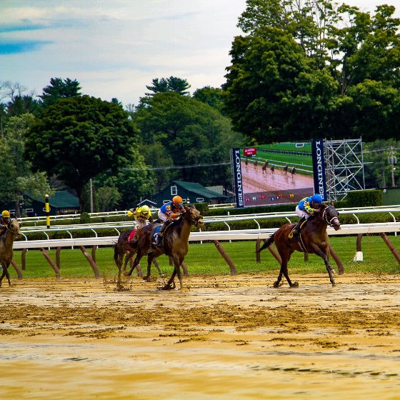Jockeys race several horses on a sandy track with a large digital screen televising the action in the background among several mature trees.